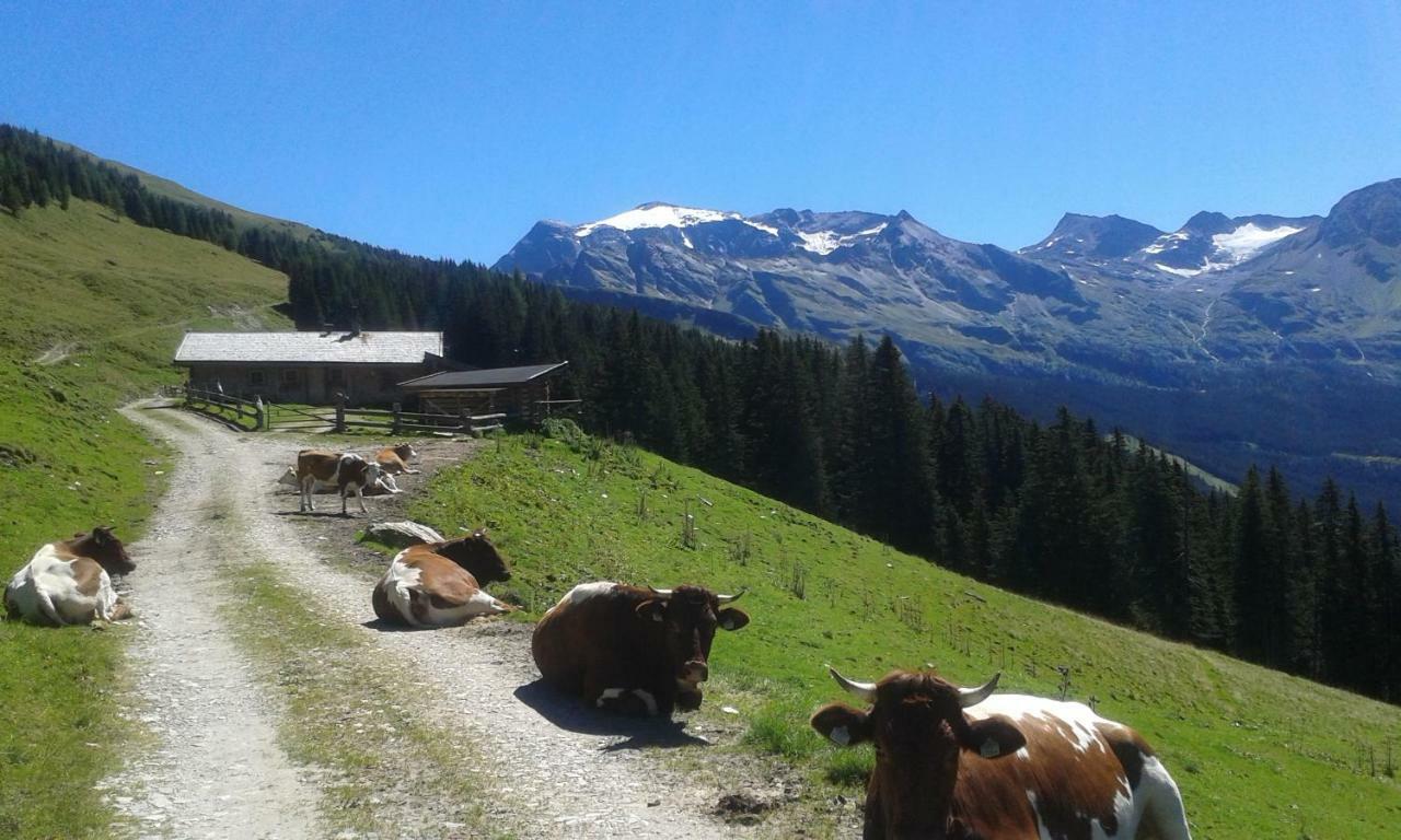 Fruehstuecks- Pension Sonnblickhof Rauris Exteriör bild
