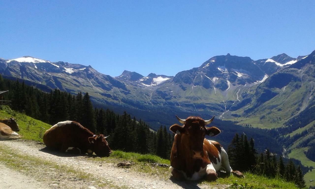Fruehstuecks- Pension Sonnblickhof Rauris Exteriör bild